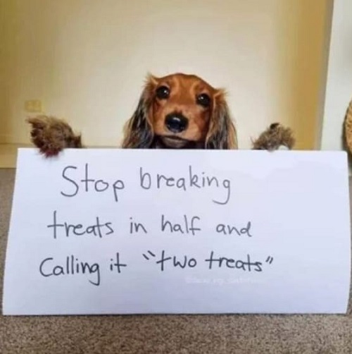 stop breaking treats.jpg